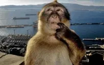 EUREKA emote for Discord