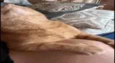 euh emote for Discord