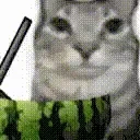 EuComendoMelancia emote for Discord