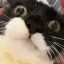 euh emote for Discord