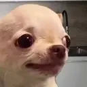 evilDog emote for Discord