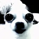 EvilCreature emote for Discord