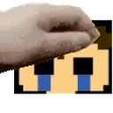Evanpetpet emote for Discord