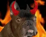 EVIL emote for Discord