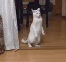 EvilFreakyBilly emote for Discord