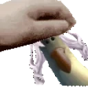 EveGullPet1 emote for Discord