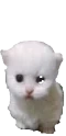 ewphop emote for Discord