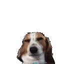 EvilDog emote for Discord