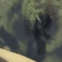 Evilkev emote for Discord