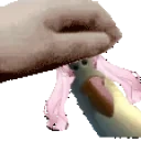EveGullpet emote for Discord
