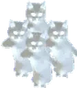evilcattimeparty emote for Discord