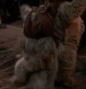 EwokDance emote for Discord