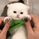 ewpTime emote for Discord