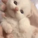 ewpHello emote for Discord