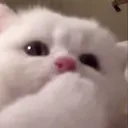 ewpMlems emote for Discord