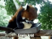 ewron emote for Discord