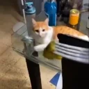 Eww emote for Discord