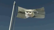 ewpflag emote for Discord