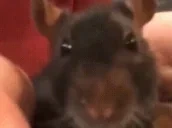 Eww emote for Discord