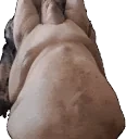 ewis emote for Discord