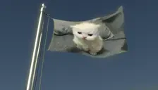 ewpertFlag emote for Discord