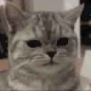 eww emote for Discord