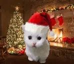 ewphop emote for Discord