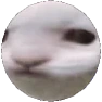 ewpspin emote for Discord