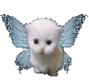 ewpertbutterflydiesinaf emote for Discord