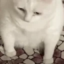 eww emote for Discord