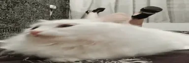 ewpSlay emote for Discord