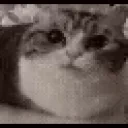 explode emote for Discord