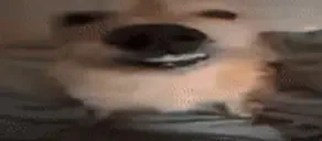 exam emote for Discord