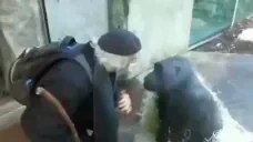 Explaining emote for Discord