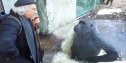 Explaining emote for Discord