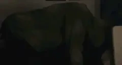 extroTwerk emote for Discord