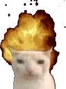 explosivecat emote for Discord