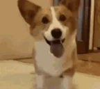 EXCITED emote for Discord