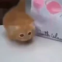 Exportingcocaine emote for Discord