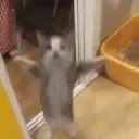 Excited emote for Discord