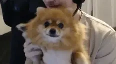 ewq emote for Discord