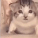 Explosion emote for Discord