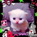 Ewpert emote for Discord