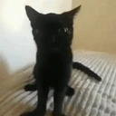 EXPLODE emote for Discord