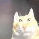 explode emote for Discord