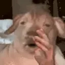 explaining emote for Discord