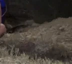 exemHOLEMEGALUL emote for Discord