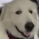 ExcuseMe emote for Discord