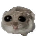 explohd emote for Discord