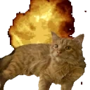 explodingpippi emote for Discord